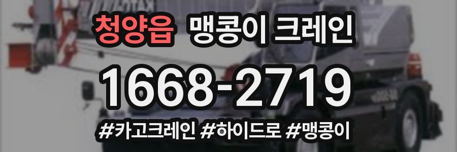 청양읍 맹콩이 크레인