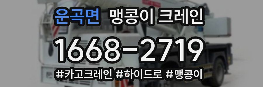 운곡면 맹콩이 크레인