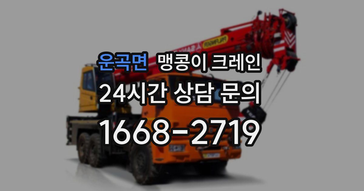 운곡면 맹콩이 크레인