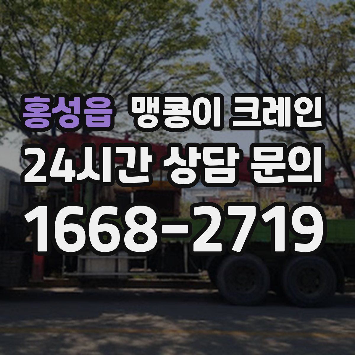 홍성읍 맹콩이 크레인