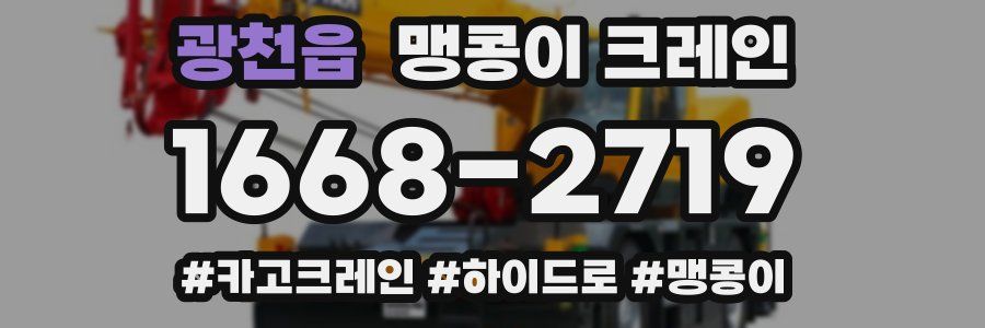 광천읍 맹콩이 크레인