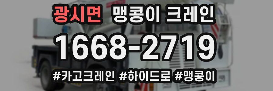 광시면 맹콩이 크레인