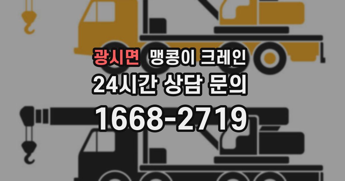 광시면 맹콩이 크레인