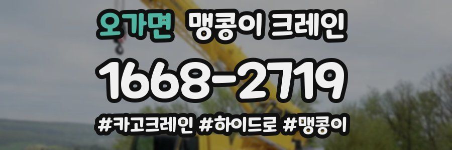 오가면 맹콩이 크레인