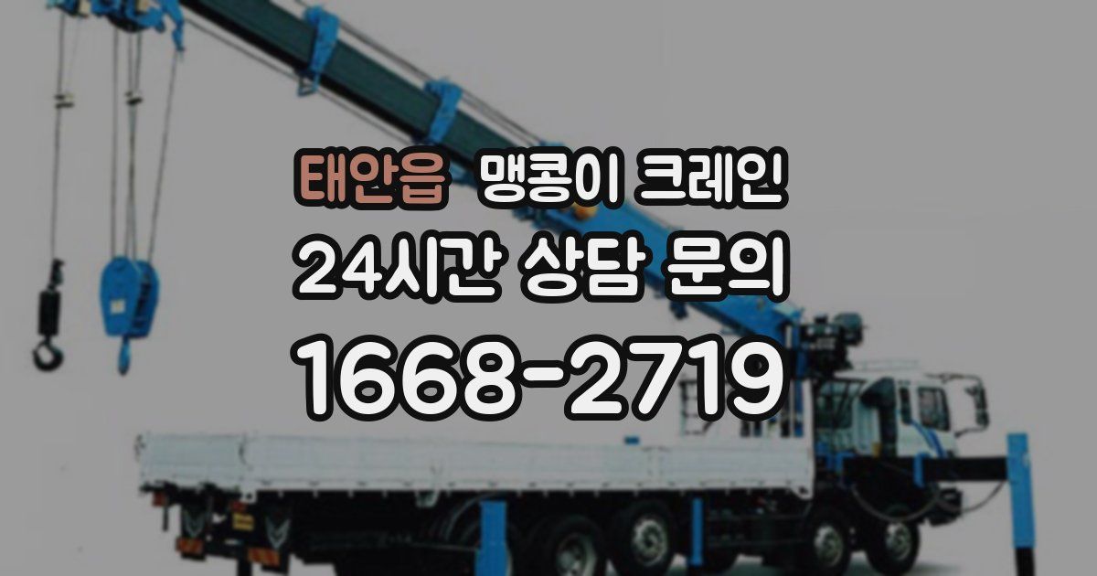 태안읍 맹콩이 크레인