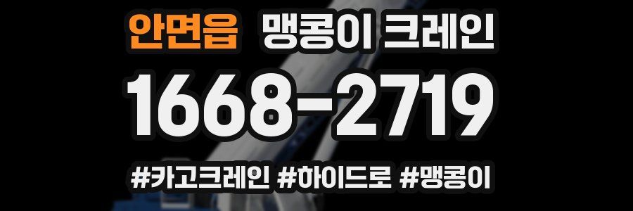 안면읍 맹콩이 크레인