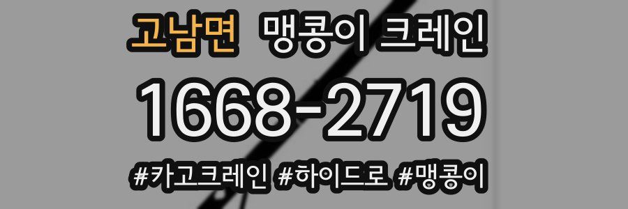 고남면 맹콩이 크레인