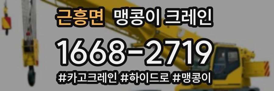 근흥면 맹콩이 크레인