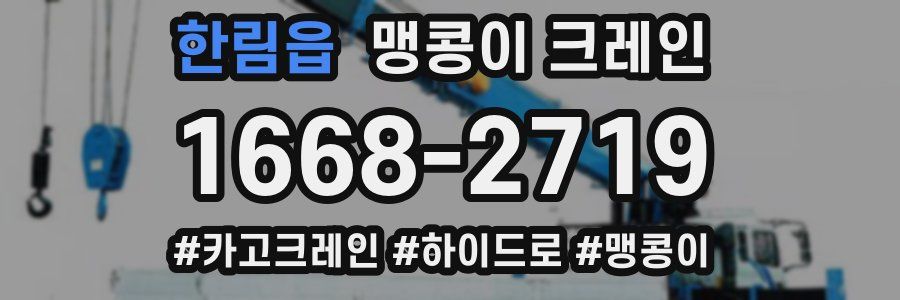 한림읍 맹콩이 크레인