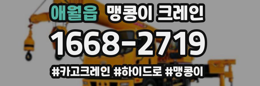 애월읍 맹콩이 크레인