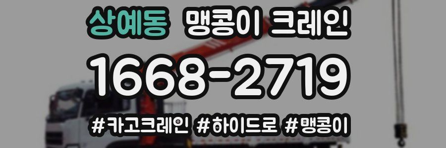 상예동 맹콩이 크레인