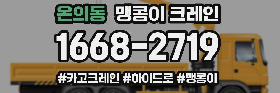 온의동 맹콩이 크레인
