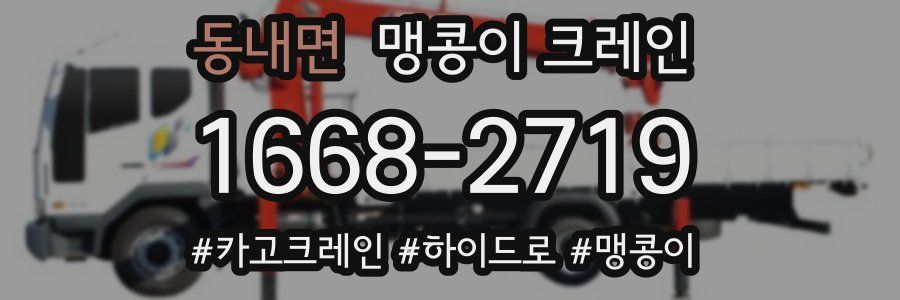 동내면 맹콩이 크레인