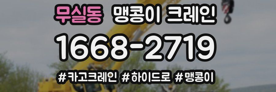 무실동 맹콩이 크레인