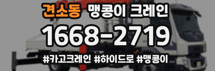 견소동 맹콩이 크레인