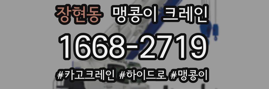 장현동 맹콩이 크레인
