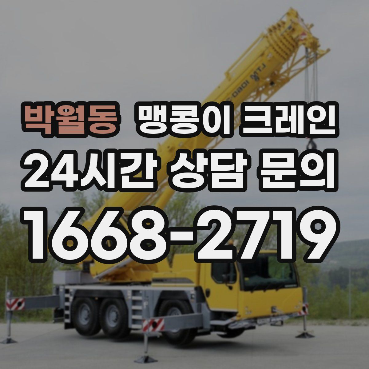 박월동 맹콩이 크레인
