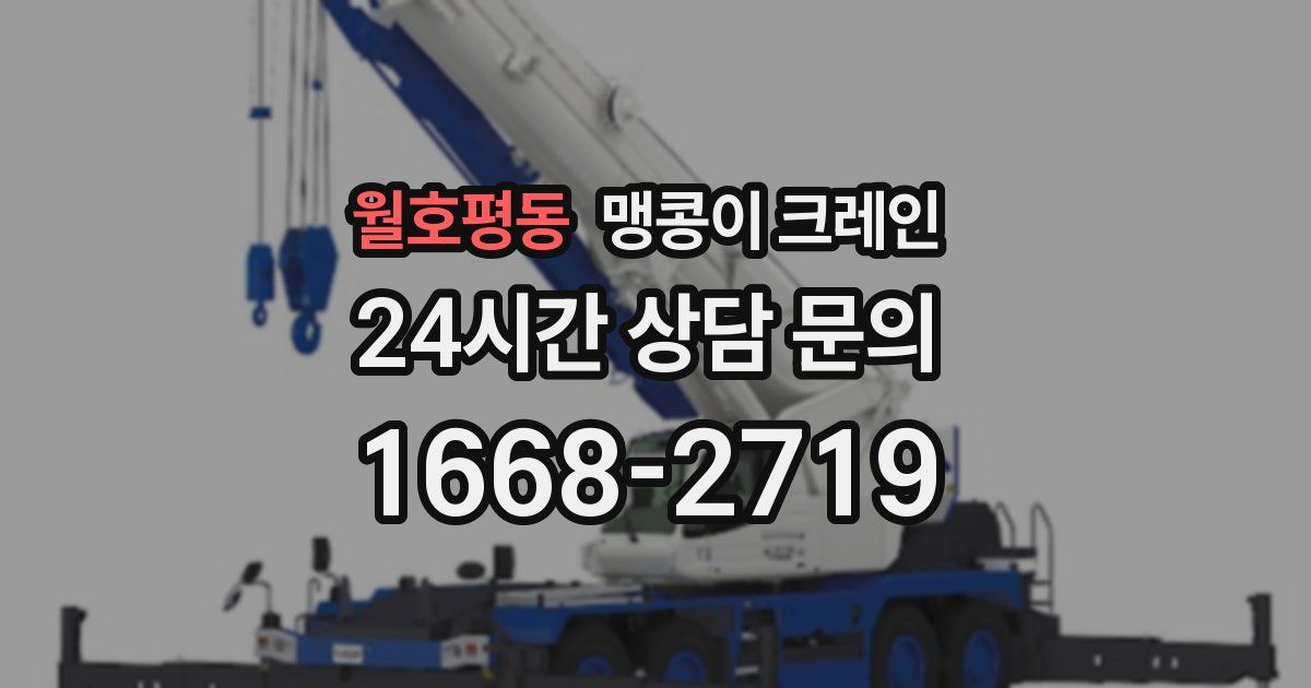 월호평동 맹콩이 크레인