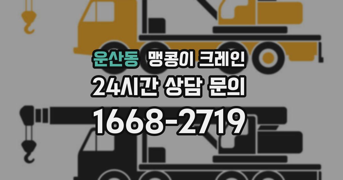 운산동 맹콩이 크레인