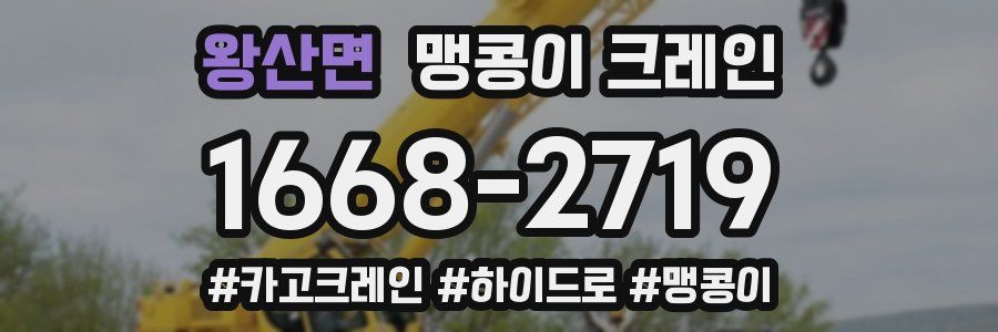 왕산면 맹콩이 크레인