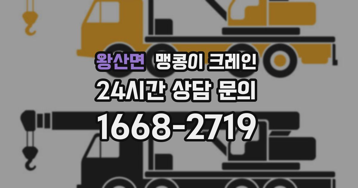 왕산면 맹콩이 크레인