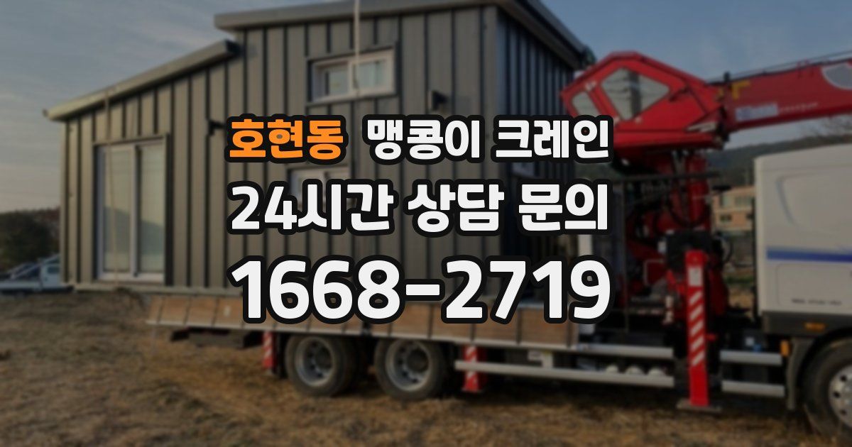 호현동 맹콩이 크레인