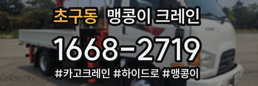 초구동 맹콩이 크레인