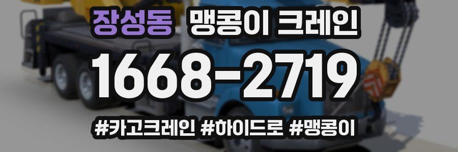 장성동 맹콩이 크레인