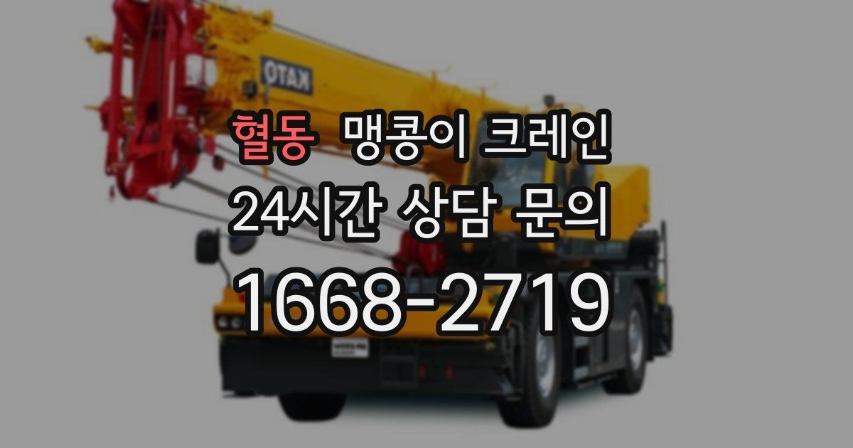 혈동 맹콩이 크레인