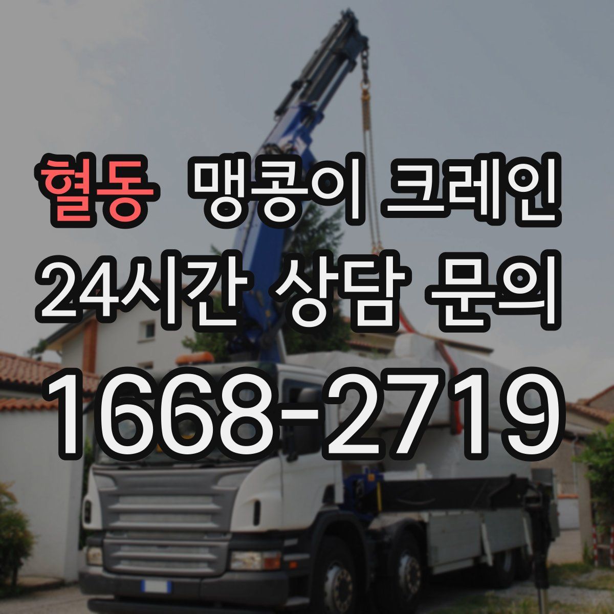 혈동 맹콩이 크레인