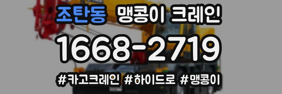 조탄동 맹콩이 크레인
