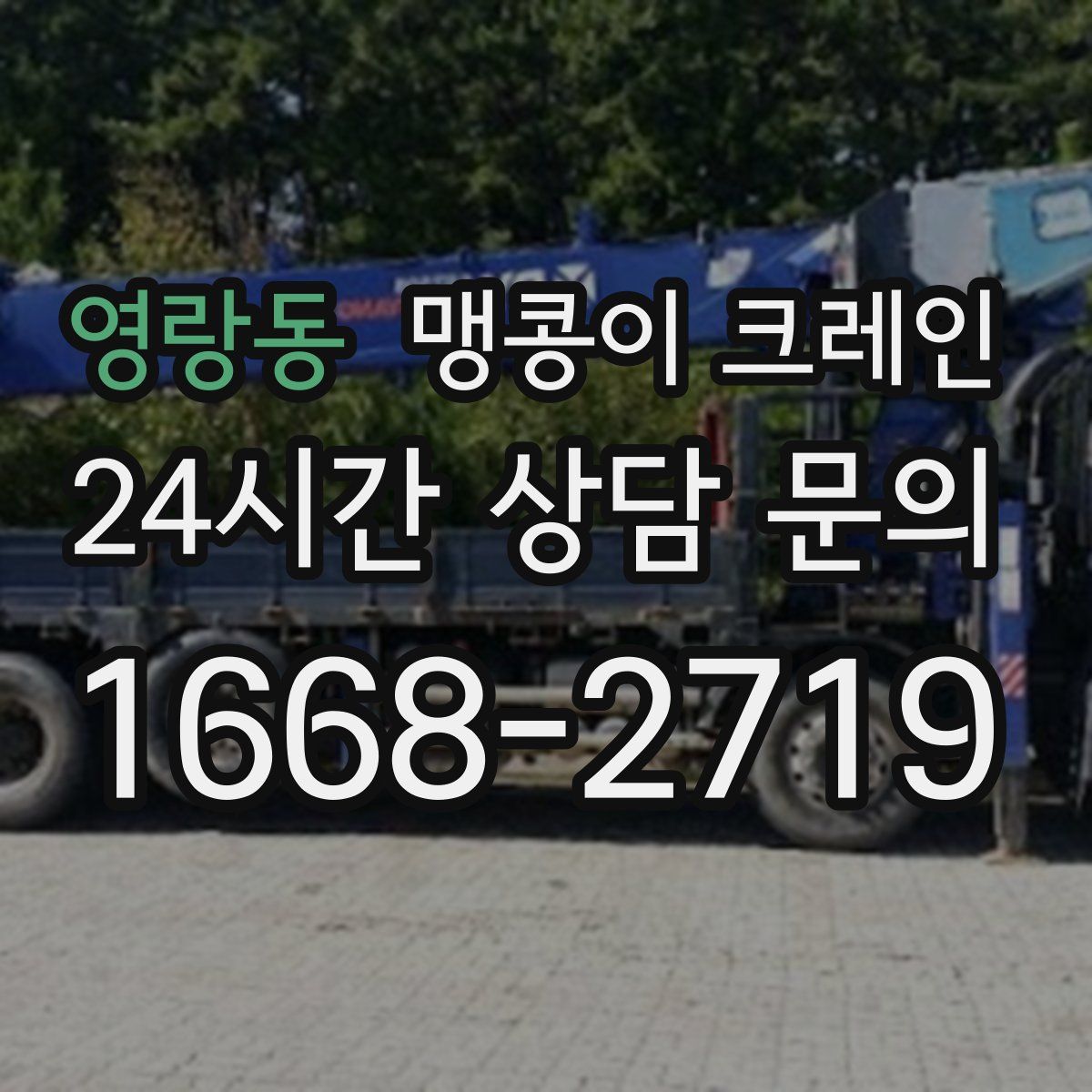 영랑동 맹콩이 크레인