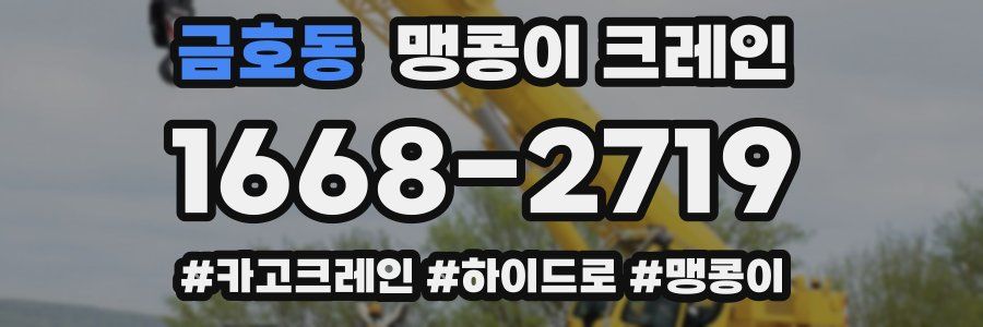 금호동 맹콩이 크레인