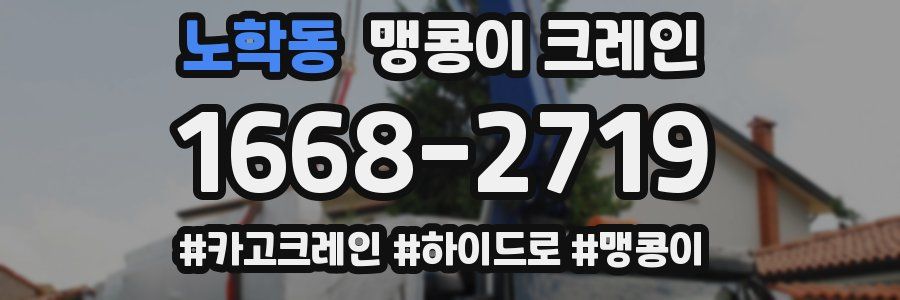 노학동 맹콩이 크레인