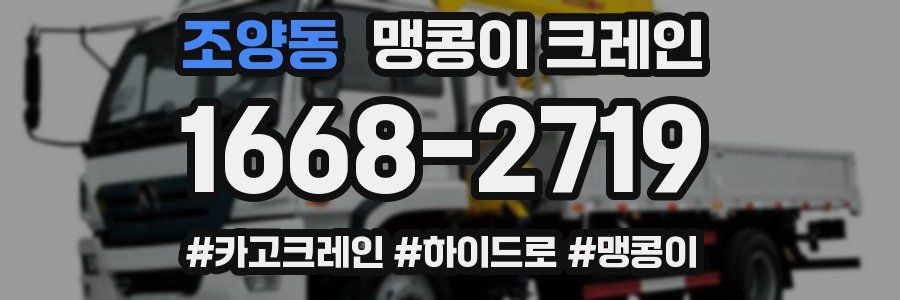 조양동 맹콩이 크레인