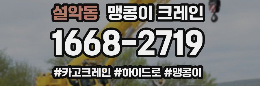 설악동 맹콩이 크레인