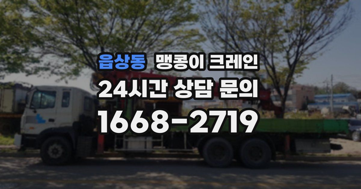 읍상동 맹콩이 크레인