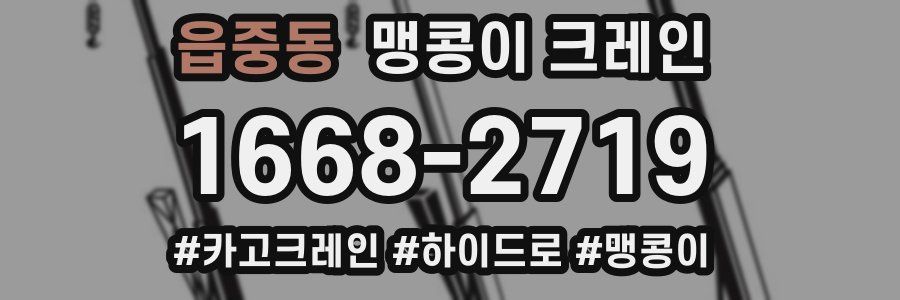 읍중동 맹콩이 크레인