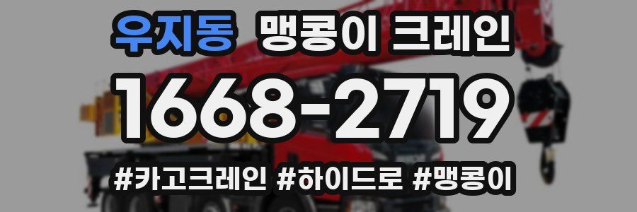 우지동 맹콩이 크레인
