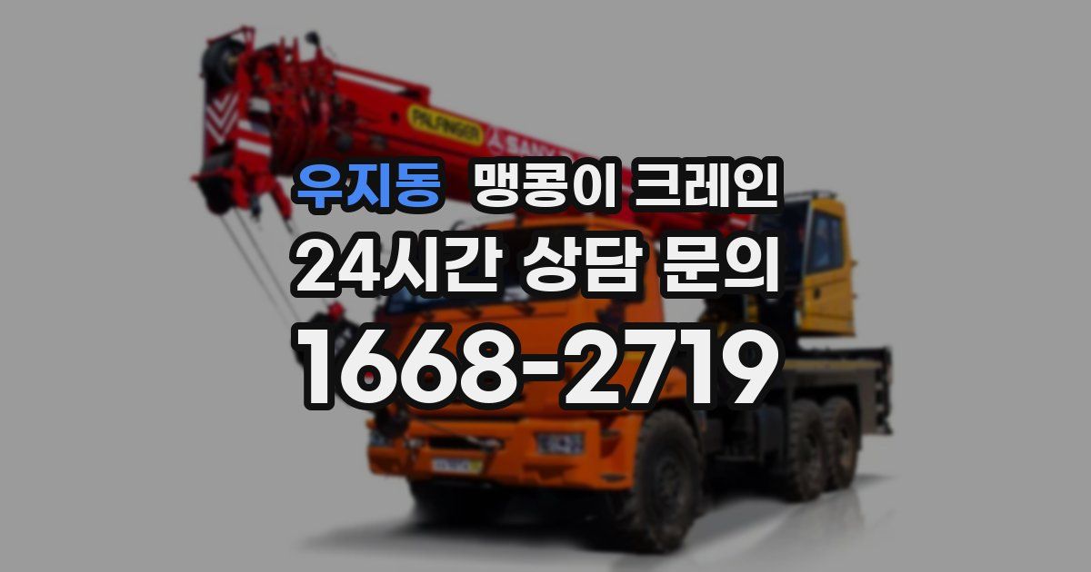 우지동 맹콩이 크레인