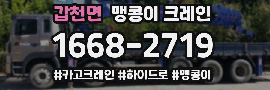 갑천면 맹콩이 크레인