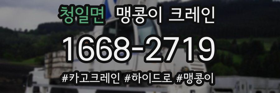 청일면 맹콩이 크레인