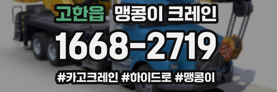 고한읍 맹콩이 크레인