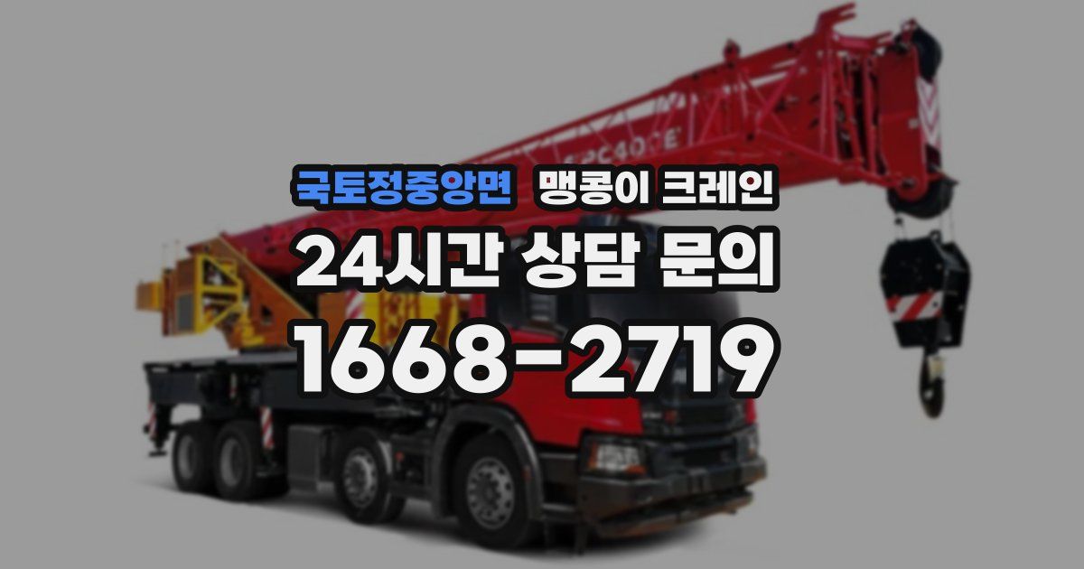 국토정중앙면 맹콩이 크레인