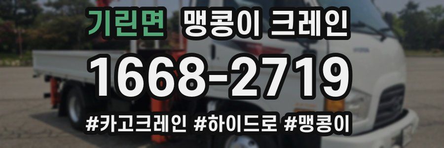 기린면 맹콩이 크레인