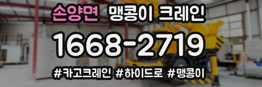 손양면 맹콩이 크레인