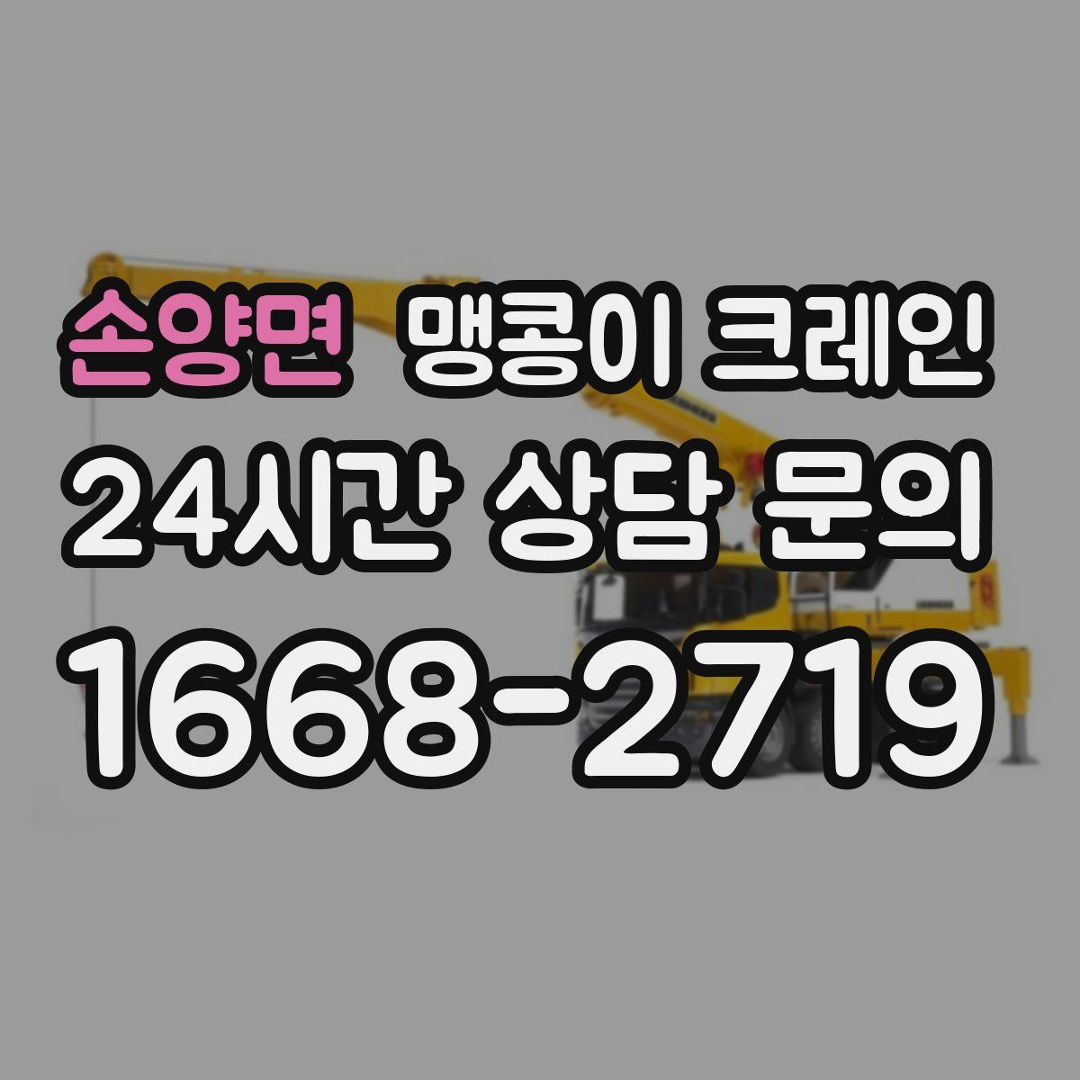 손양면 맹콩이 크레인