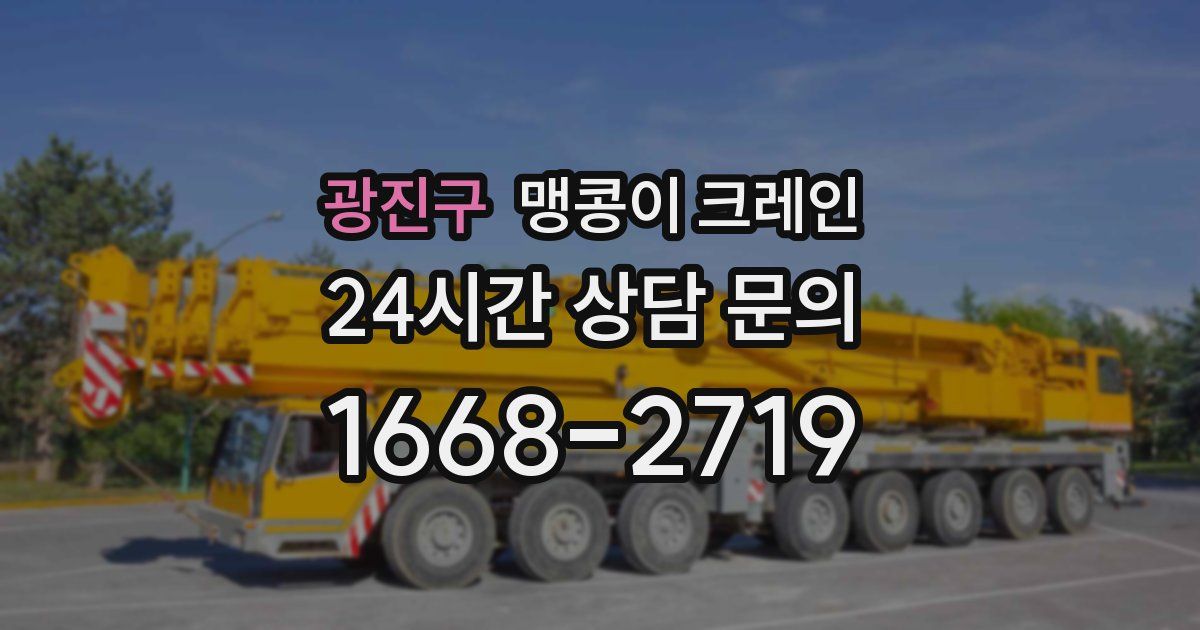 광진구 맹콩이 크레인