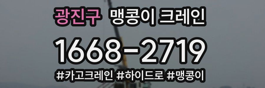 광진구 맹콩이 크레인