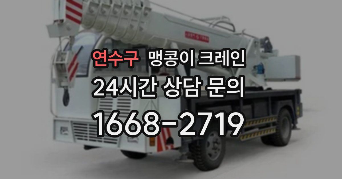 연수구 맹콩이 크레인